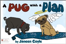 pug with plan