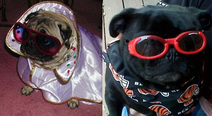 pugz